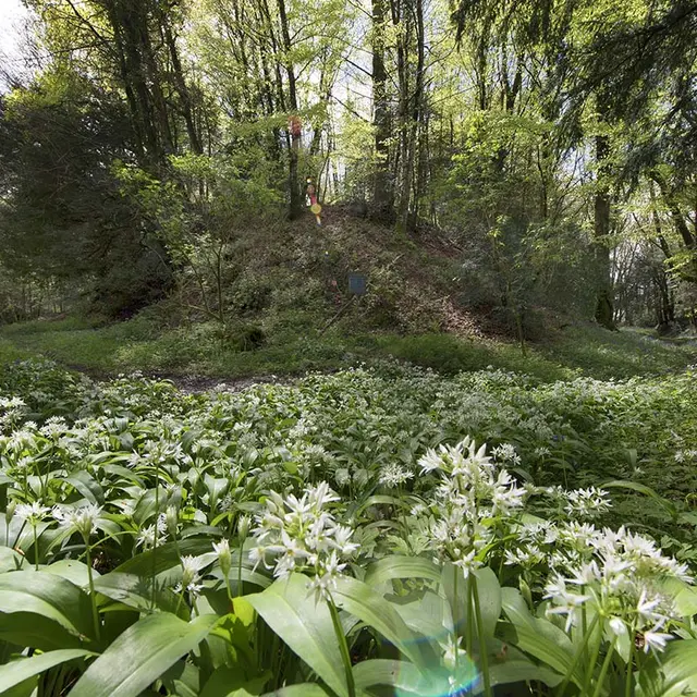 Motte féodale de Beffou