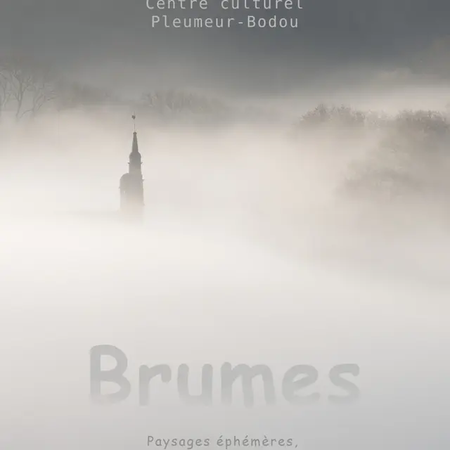 Brumes