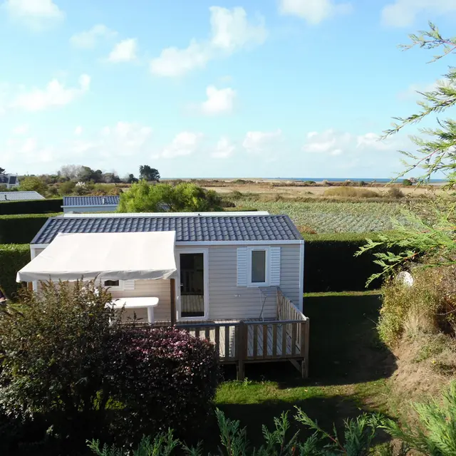 Campinglaneros2019-1