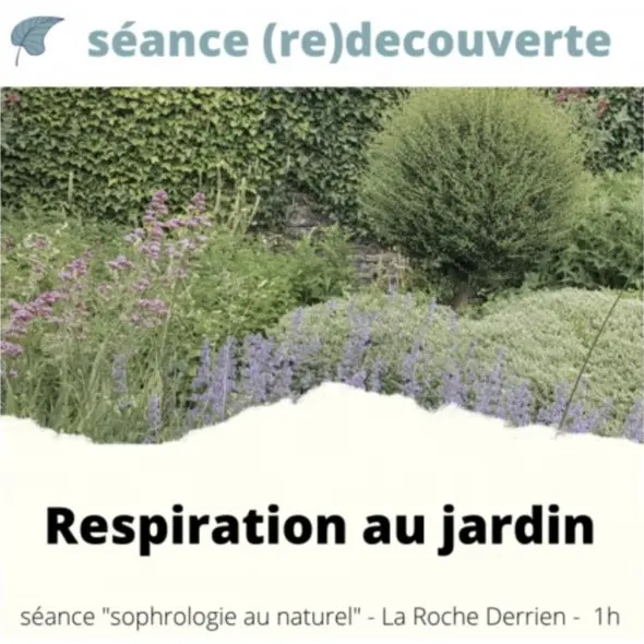 Capture d’écran 2025-07-05 175107