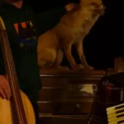 Capture d’écran 2026-01-10 153016