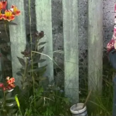 Capture d’écran 2026-01-10 155901