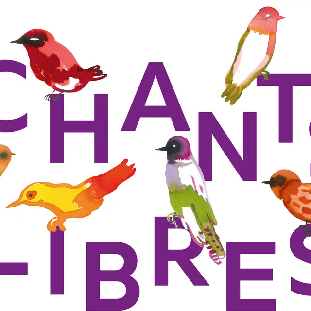 Chants libres vecto oiseaux