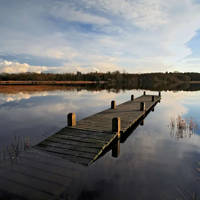 Christian Le Gac Ponton etang