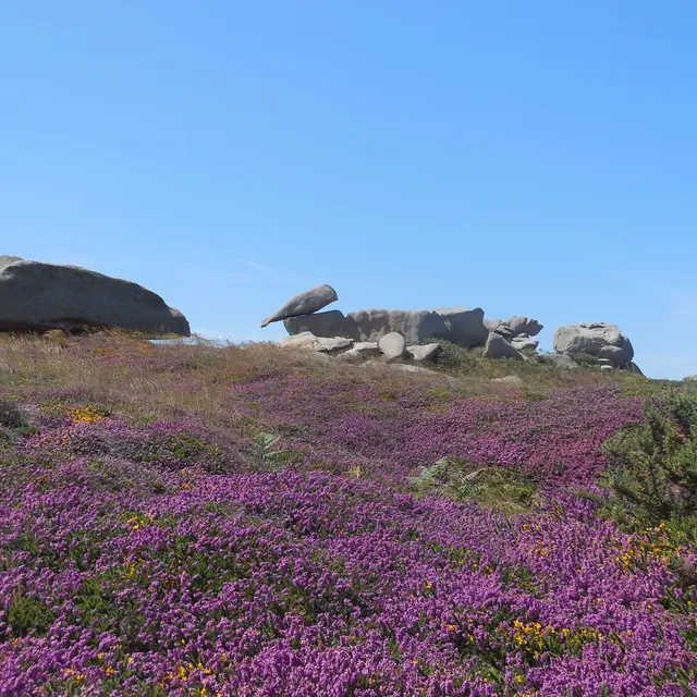 Landes Ploumanac'h