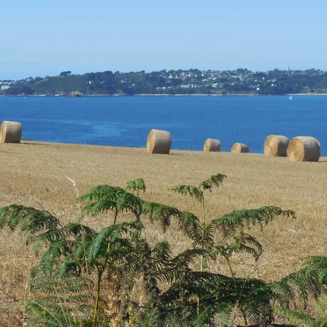 Vue baie de lannion