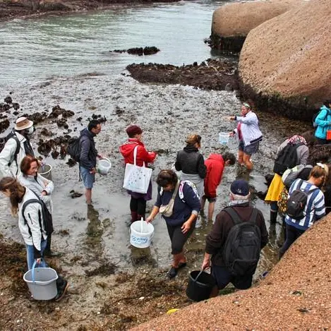 Detente-Origin-algues1