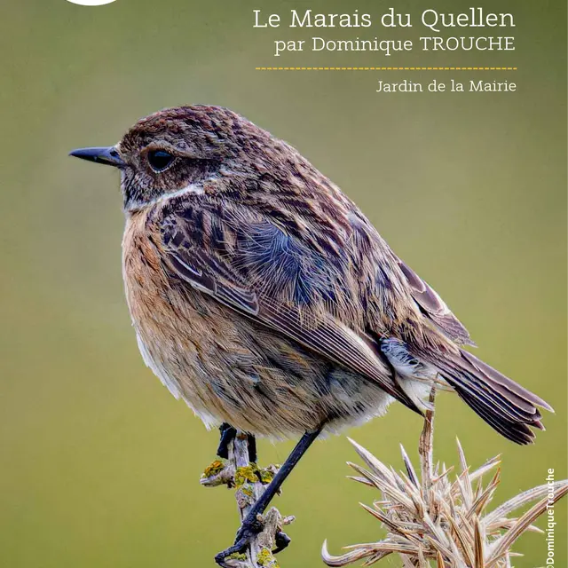 EXPOSISTION D. TROUCHE - 1