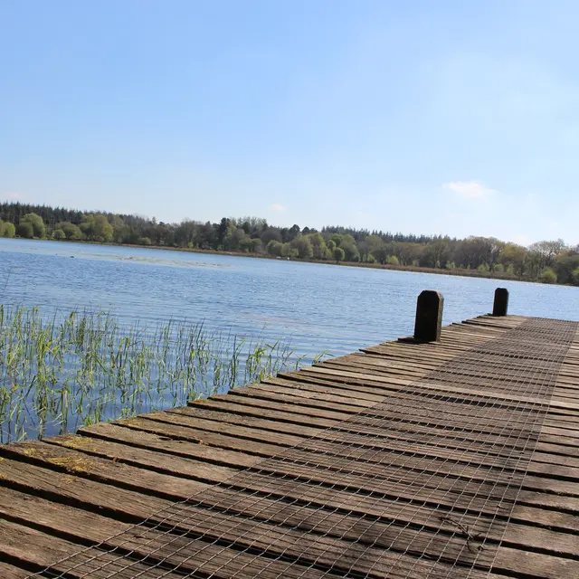 Réserve naturelle de Plounérin (62)