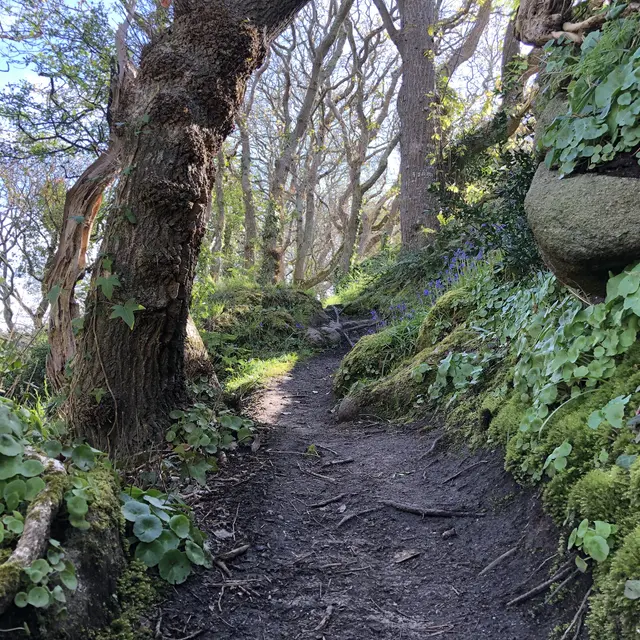 La vallée de Goas Lagorn