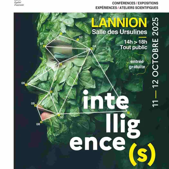 FDLS25-AFFICHE-A3bbd