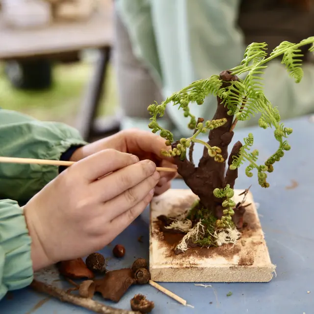 Un bel arbre sculpté