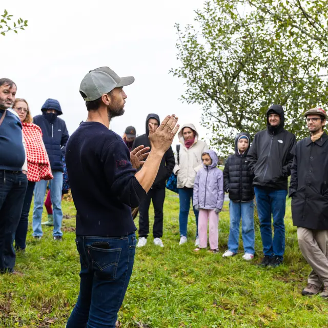 IMG_7440-Enhanced-NR