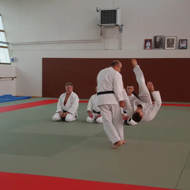 judo