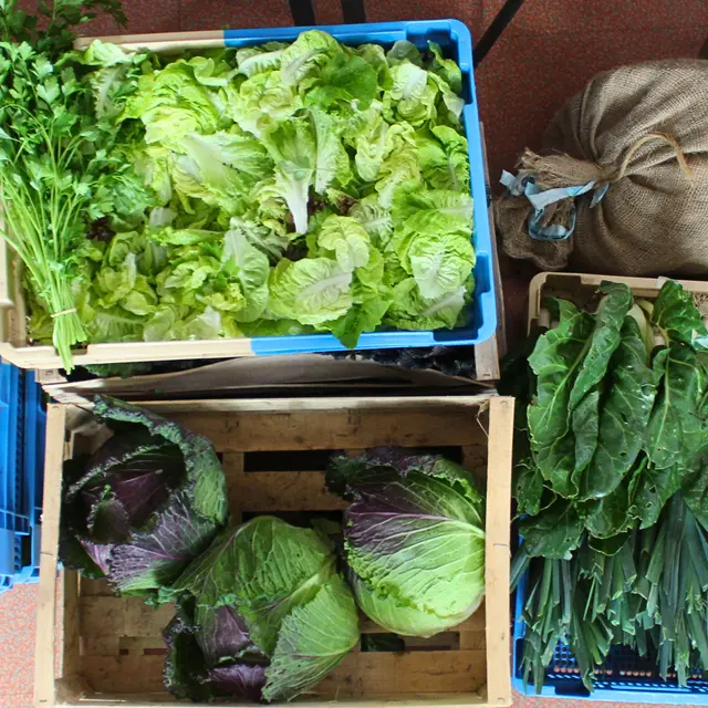 Atelier alimentation