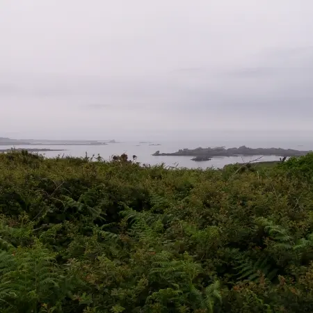 Landes de Bringiller