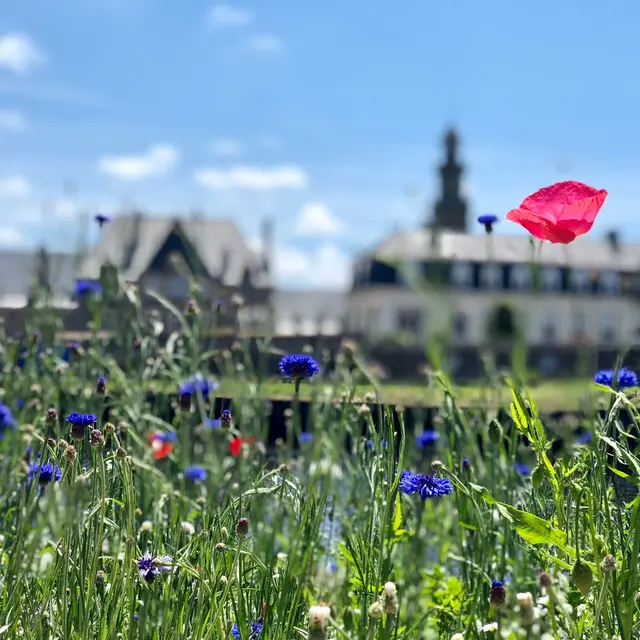Lannion Quai d'Aiguillon