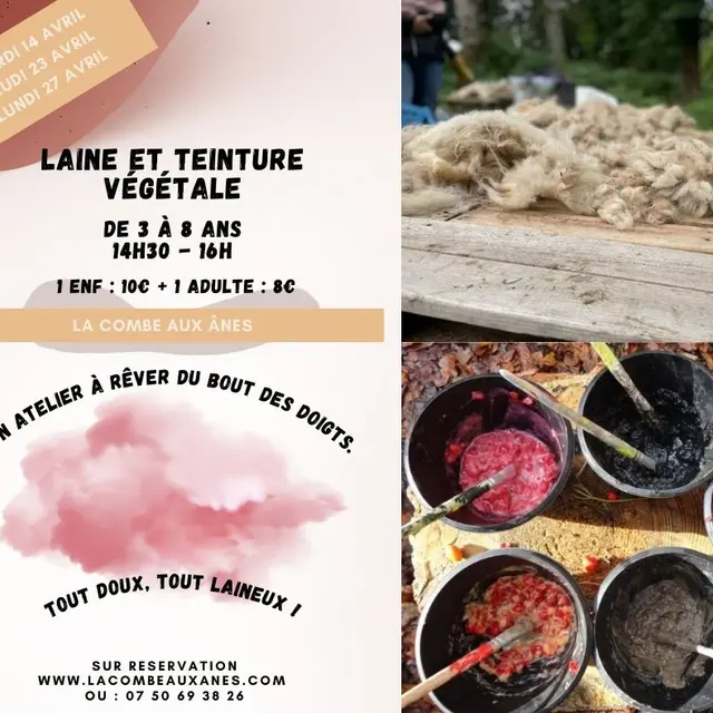 Laine et teinture végétale - Atelier parents/enfants de 3 à 8 ans