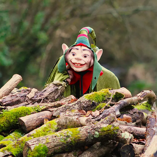 Le grimoire des contes envolés