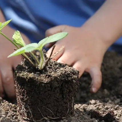 Le potager enchanté