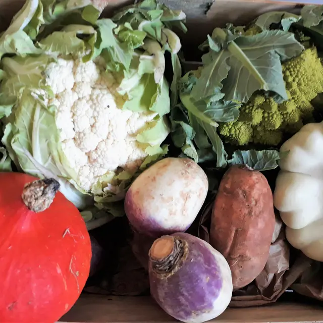 Legumes-du-marche