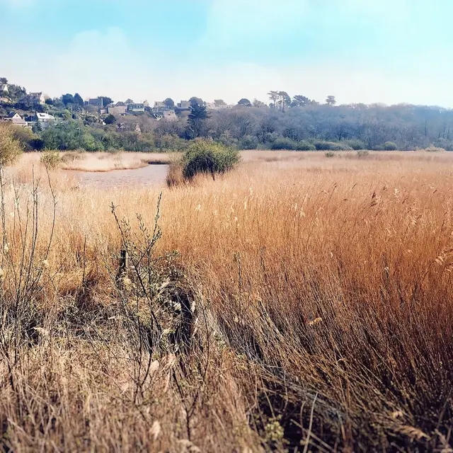 Marais du Quellen