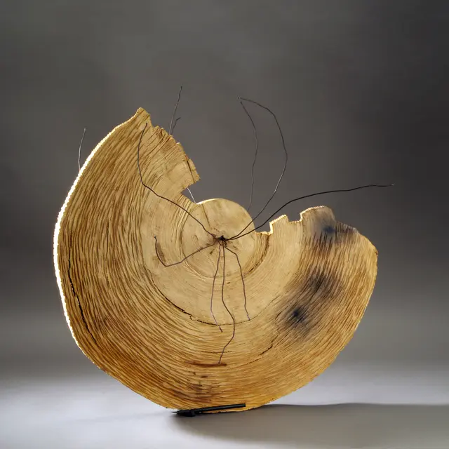 Michelle Winckler 2025 - cercle de silence bois chˆne et m‚tal 43x53x65cm.2018