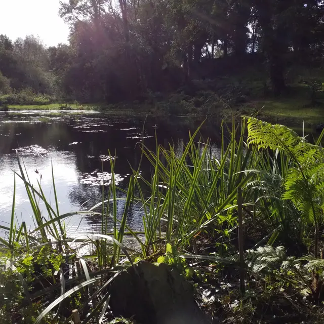 PARCS_LOISIRS_LA_VALEE_DES_BAMBOUS