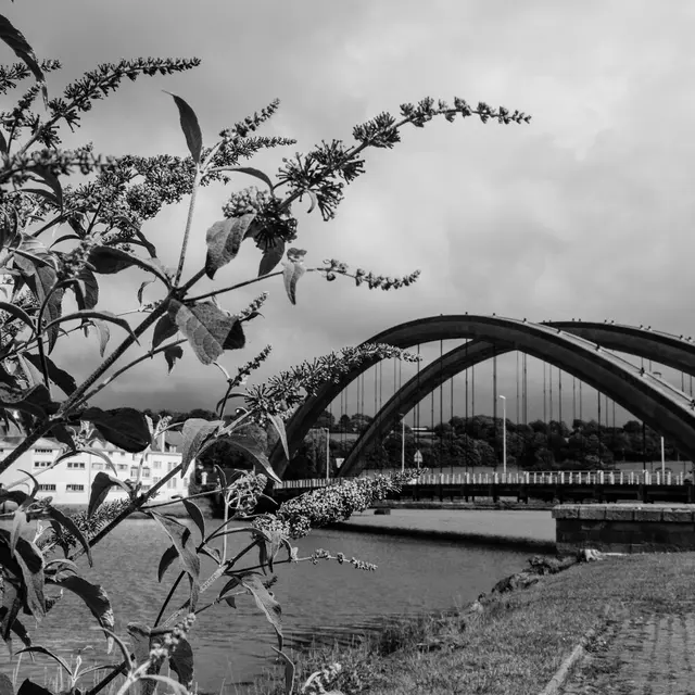 Pont Canada