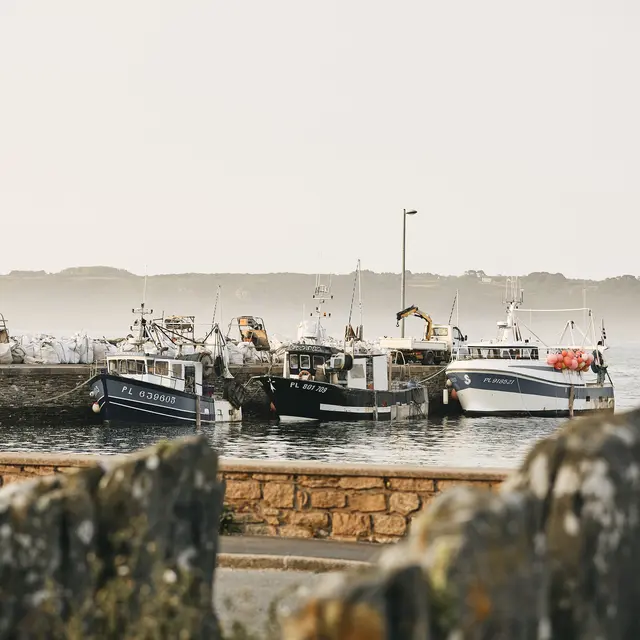 Port de Trédrez-Locquémeau