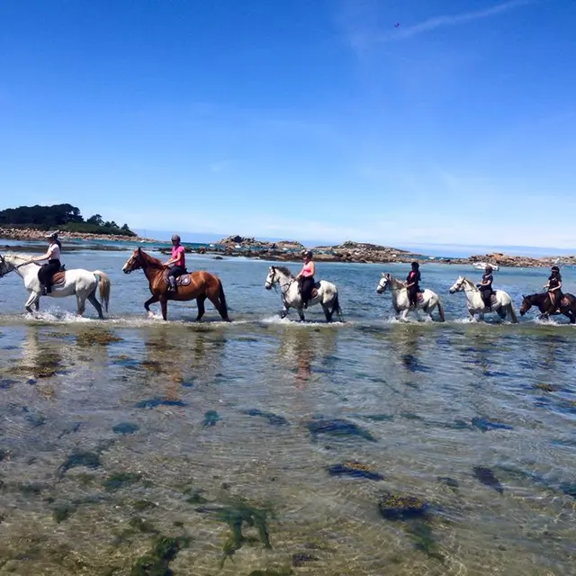 Rulan équitation 2018