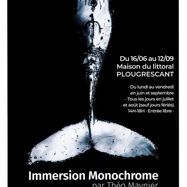 Immersion Monochrome