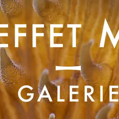 L'Effet Mer