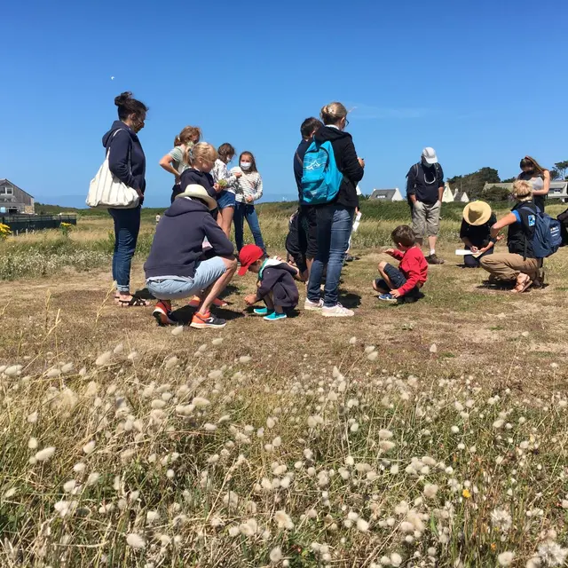 Sortie flore du littoral BR