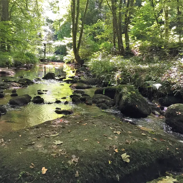 Vallée des Traouiéro