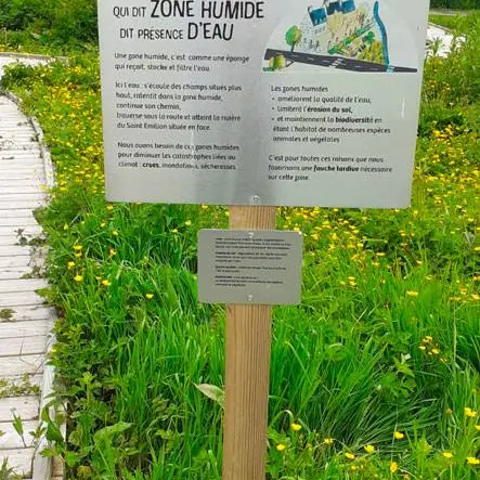 ZONE-HUMIDE convergence loutres