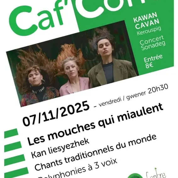 affiche_mouche_qui_miaulent