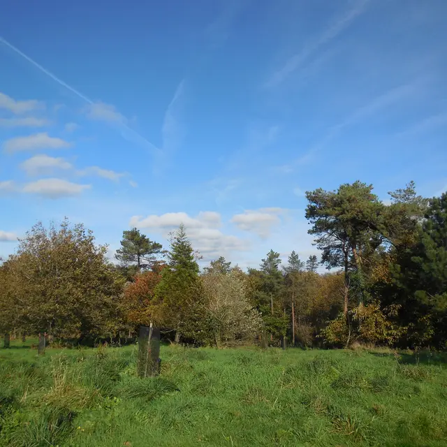 arboretum du Pavé