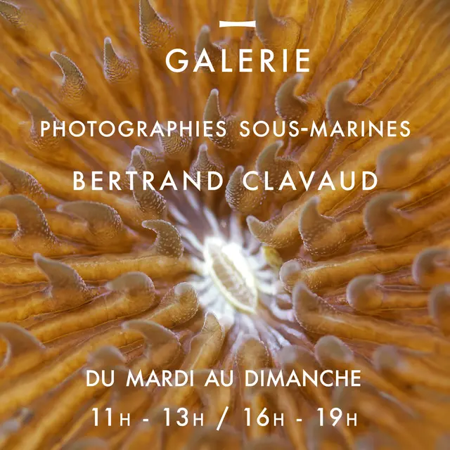 flyer A5 +clavaud