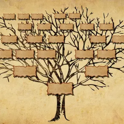 genealogie