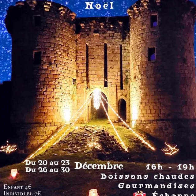 goutersilluminéstonquédec