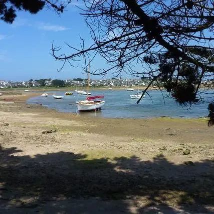 ile grande