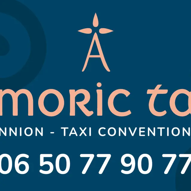 ARMORIC TAKSI PANNEAU 1200x600 V1
