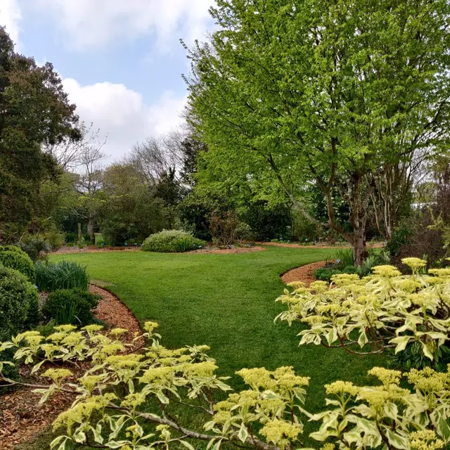 jardin été 2022-2