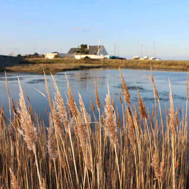 lagune du Vörlen ©Maïwenn Le Borgne