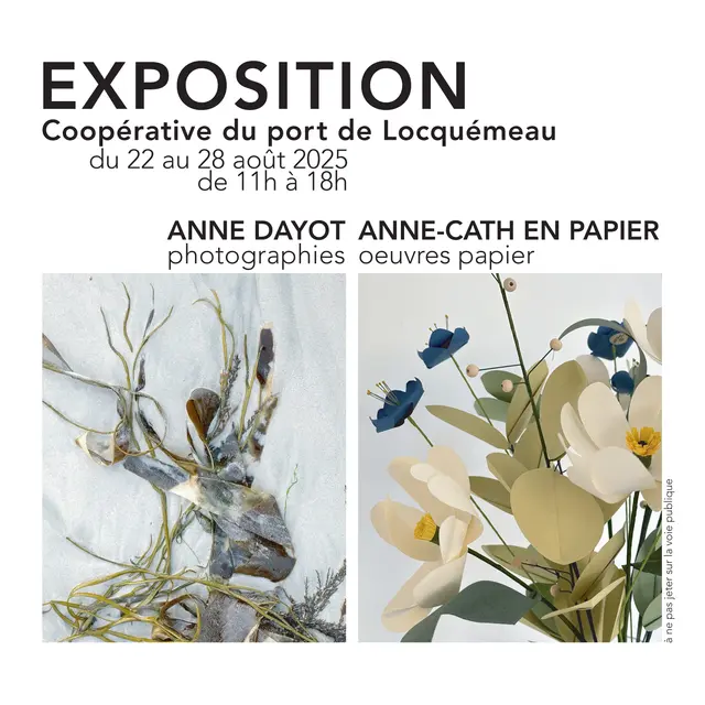 AFFICHE LOCQUEMEAU