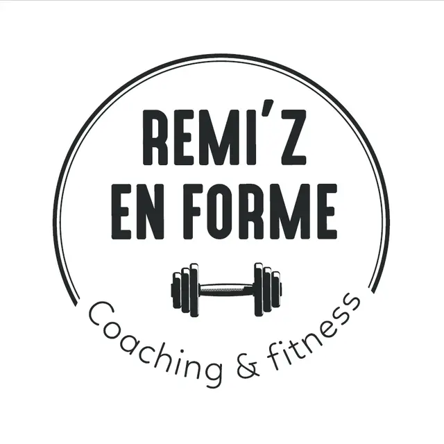 logo remi'z' en forme