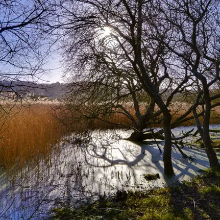 Marais du quellen