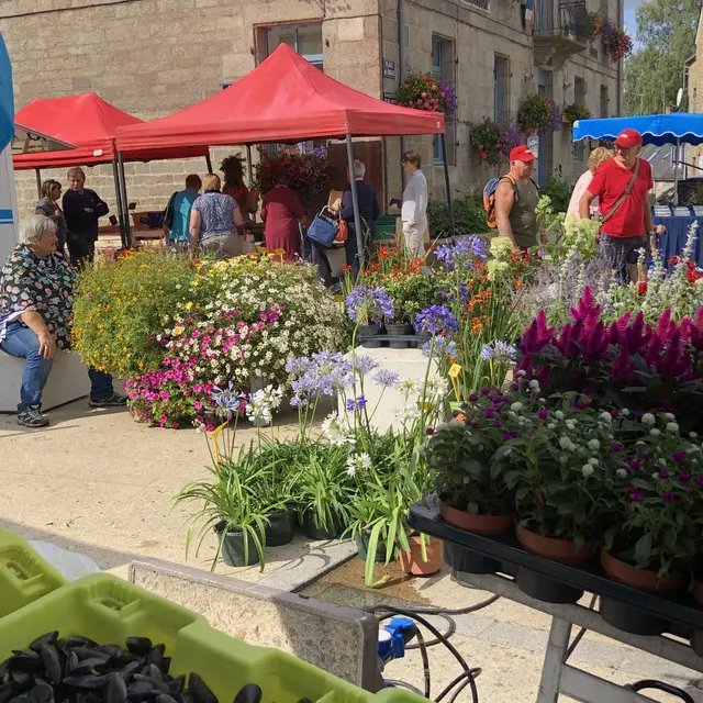 Le marché  hebdomadaire de Plouaret
