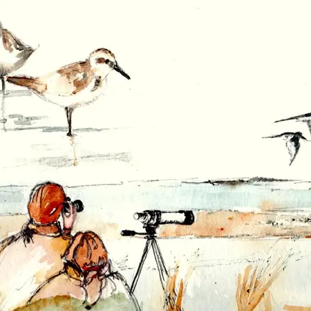 ornitho - Tounnature